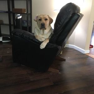 Meet your Posher, Michael